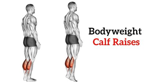 1000 calf raises a day|Calf Raises and the Muscles Worked .